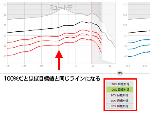 補聴器の音に慣れればこのくらい入れられるようになる※例外もあるが。