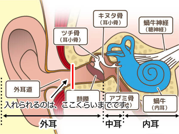 耳の中に入れると言いましても、実際には、耳の中の半分くらいになります。入れすぎると鼓膜まで届く……ということは、まずありません。