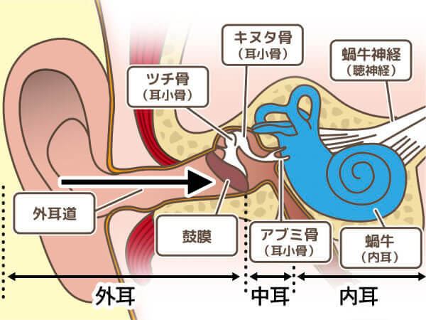 気導とは、耳から入った音がどんな風に聞こえているのか。を調べる測定です。人が一般的に音を感じている音の経路から、聞こえを調べるのが、気導聴力検査になります（ヘッドホンで調べる検査）